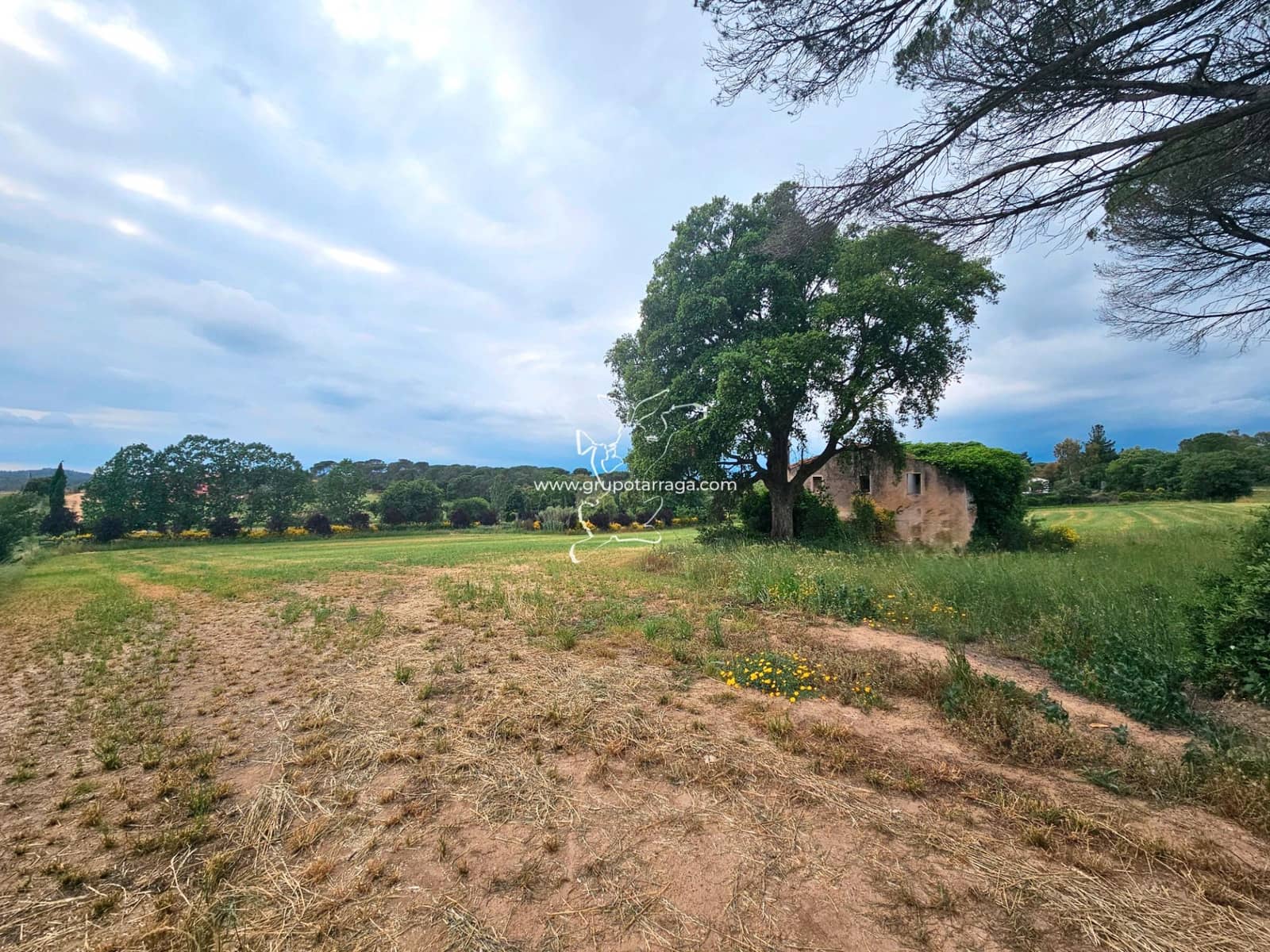 3 soveværelse Finca/Landehus til salg i Macanet de la Selva - € 300.000 (Ref: 9128662)