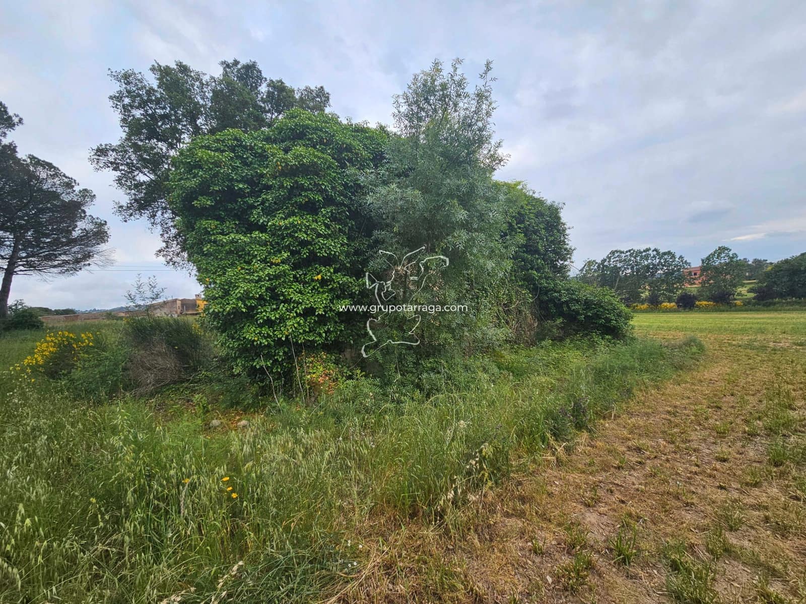 3 soveværelse Finca/Landehus til salg i Macanet de la Selva - € 300.000 (Ref: 9128662)