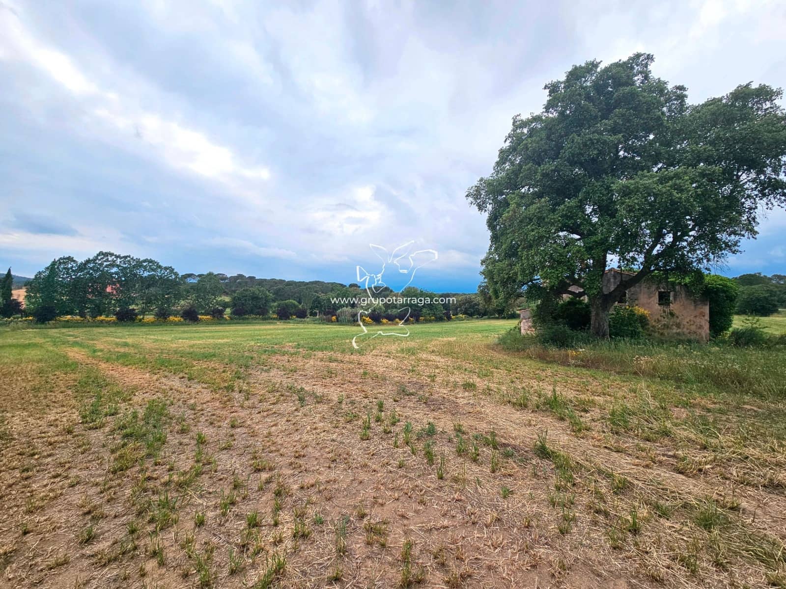 3 soveværelse Finca/Landehus til salg i Macanet de la Selva - € 300.000 (Ref: 9128662)