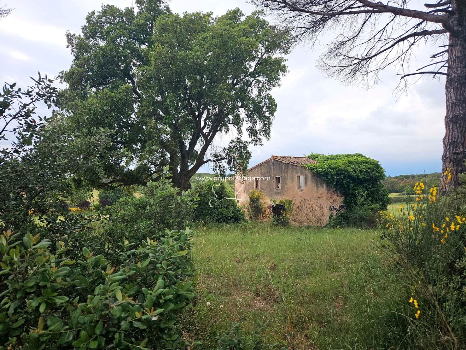 3 soveværelse Finca/Landehus til salg i Macanet de la Selva - € 300.000 (Ref: 9128662)