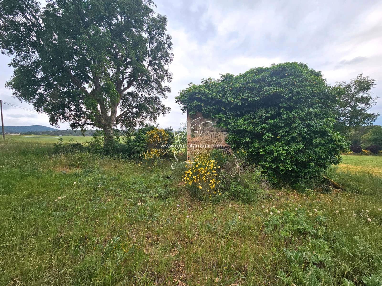 3 soveværelse Finca/Landehus til salg i Macanet de la Selva - € 300.000 (Ref: 9128662)