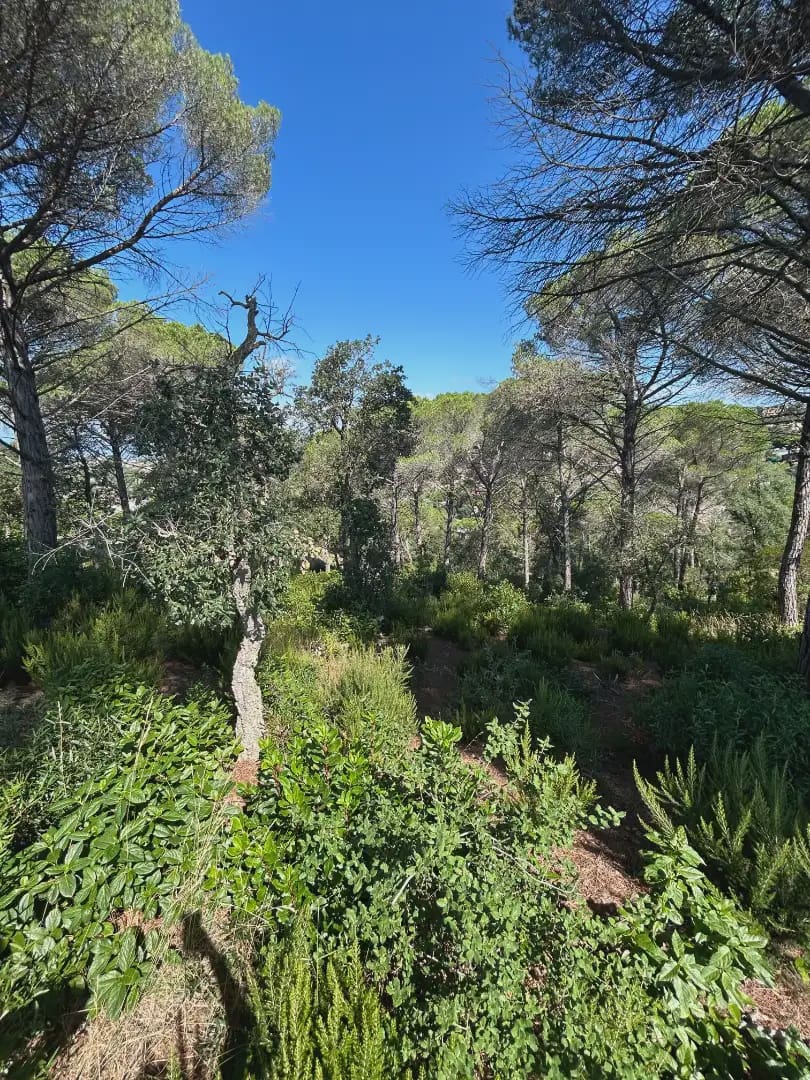 Building Plot for sale in Lloret de Mar - € 28,000 (Ref: 9201741)