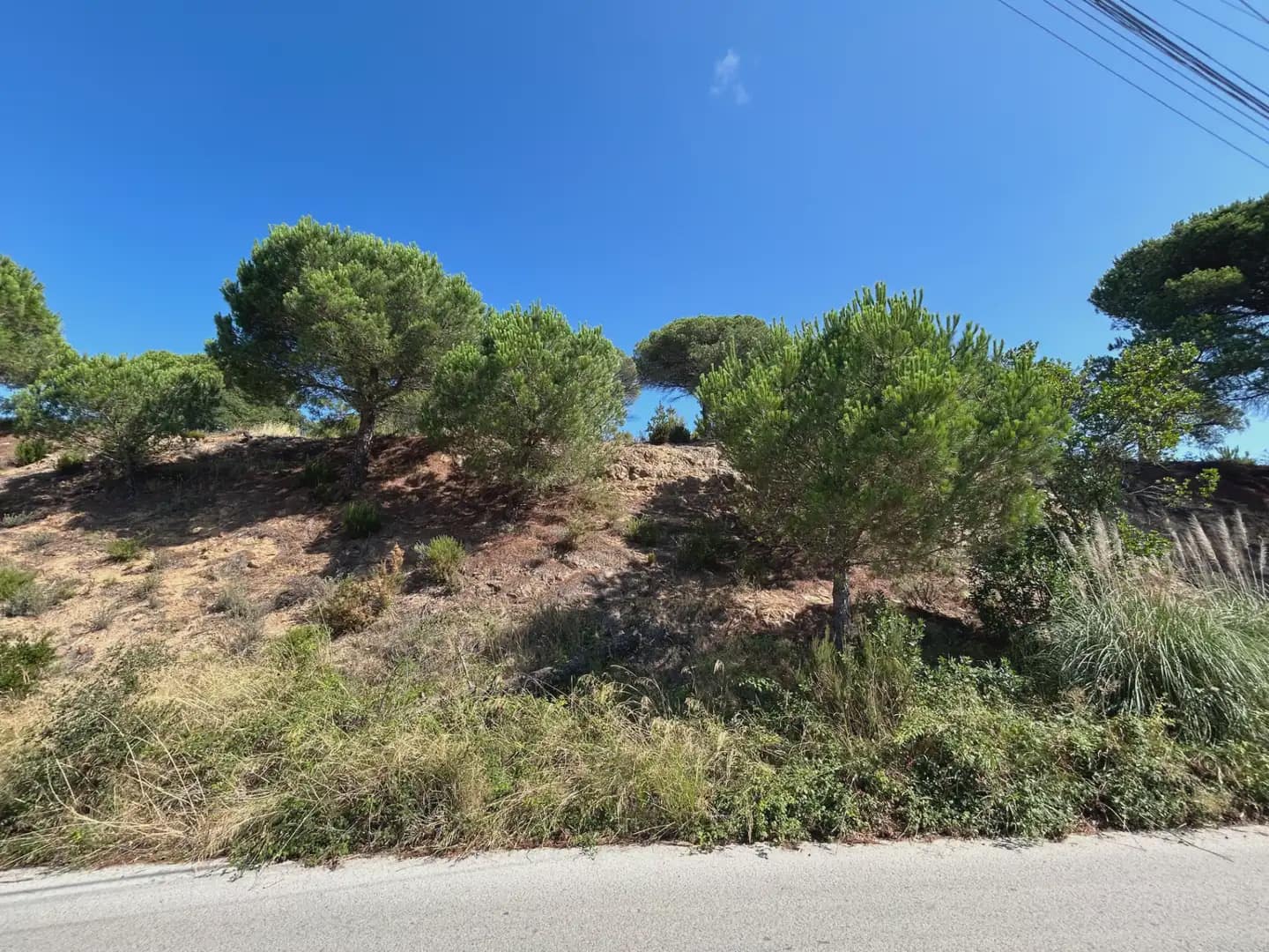 Building Plot for sale in Lloret de Mar - € 28,000 (Ref: 9201741)