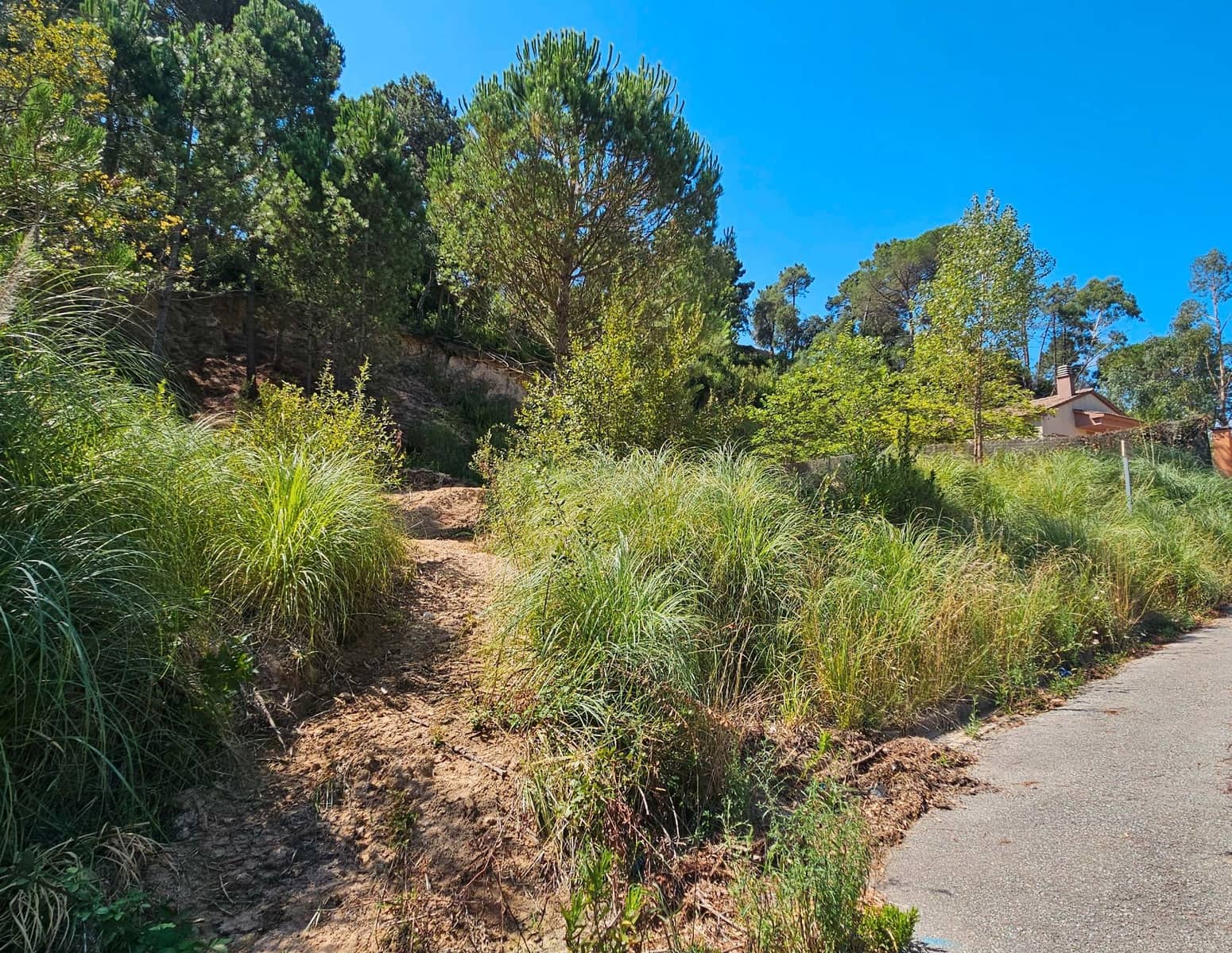 Building Plot for sale in Lloret de Mar - € 19,000 (Ref: 9201744)