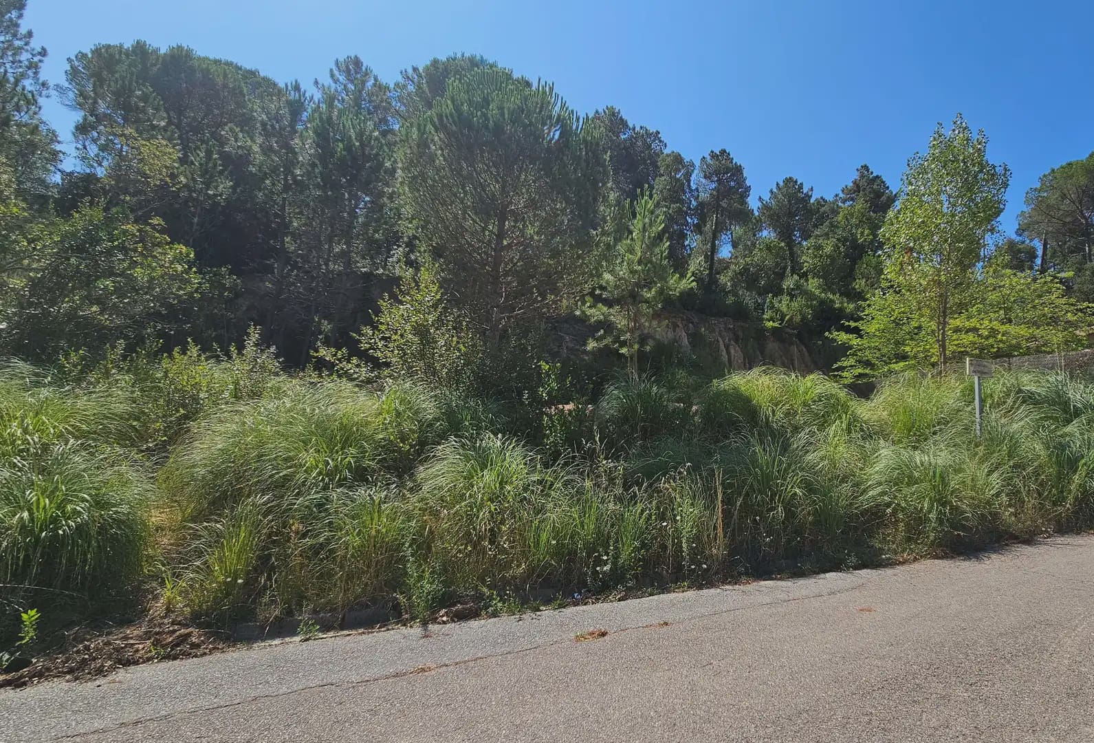 Building Plot for sale in Lloret de Mar - € 19,000 (Ref: 9201744)