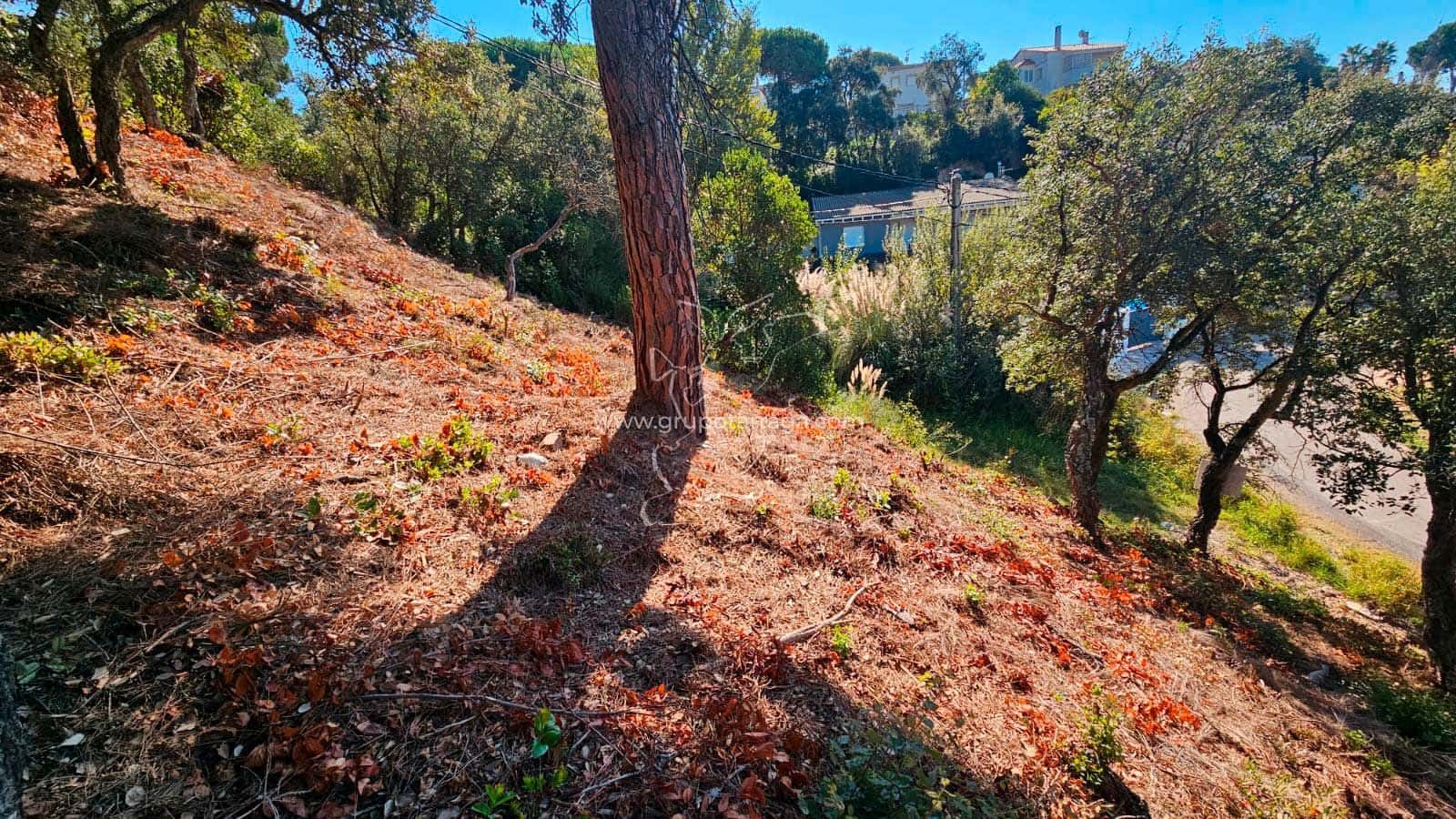 Działka budowlana na sprzedaż w Vidreres - 25 000 € (Ref: 9201745)