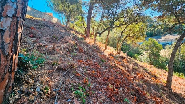 Działka budowlana na sprzedaż w Aiguaviva Parc, Vidreres - 25 000 € (Ref: 9201745)