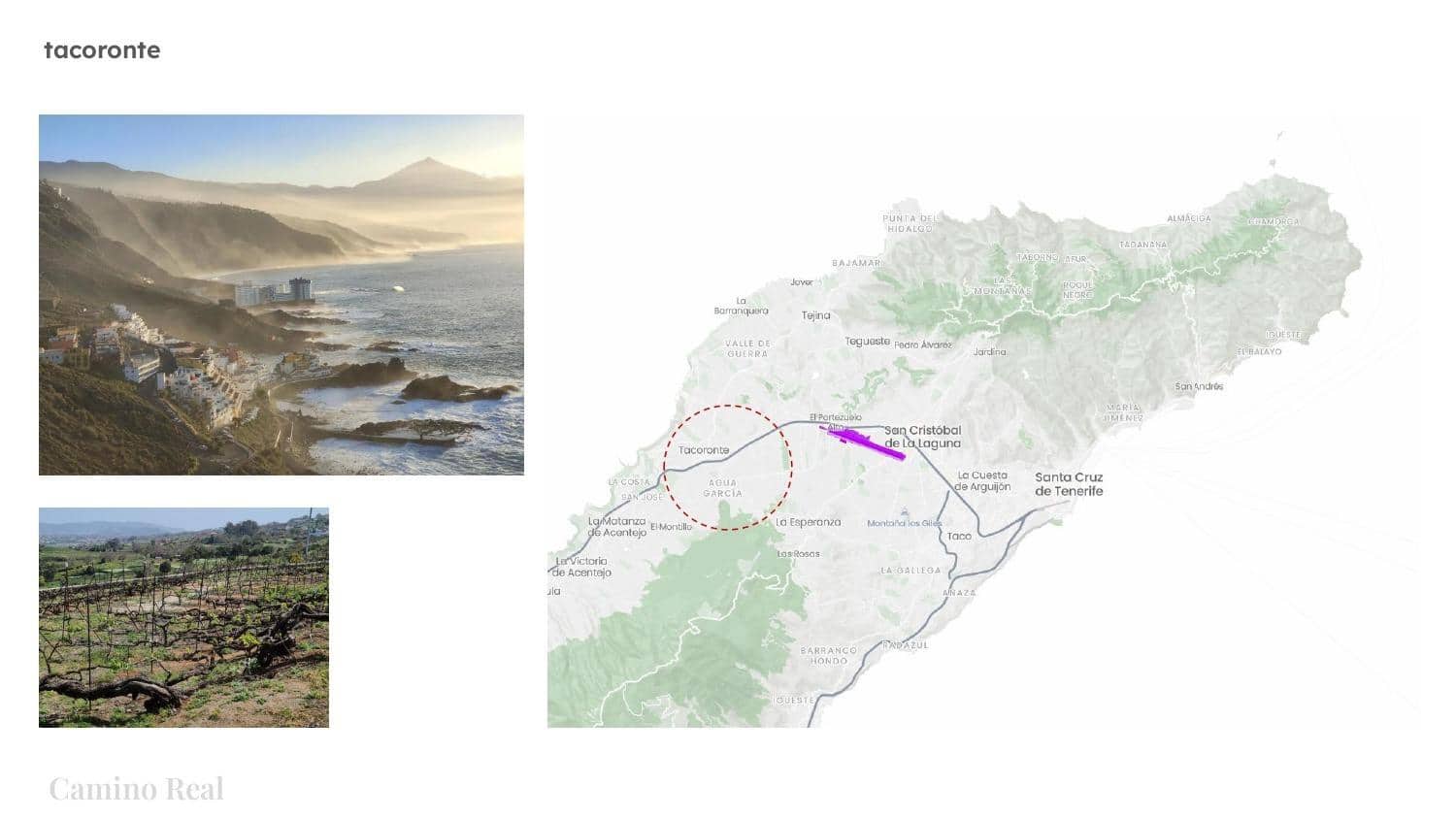 Terrain à Bâtir à vendre à Tacoronte - 250 000 € (Ref: 10034084)