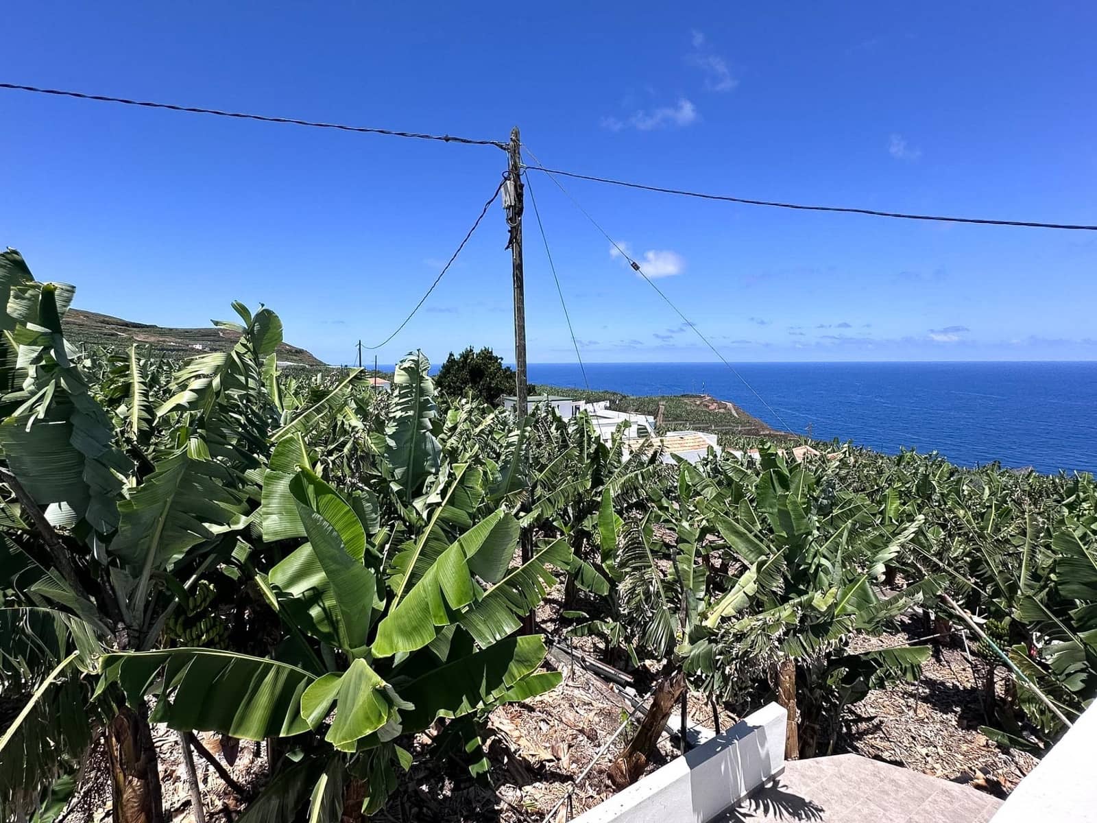 1 sovrum Lägenhet att hyra i Barlovento med garage - 700 € (Ref: 10037531)