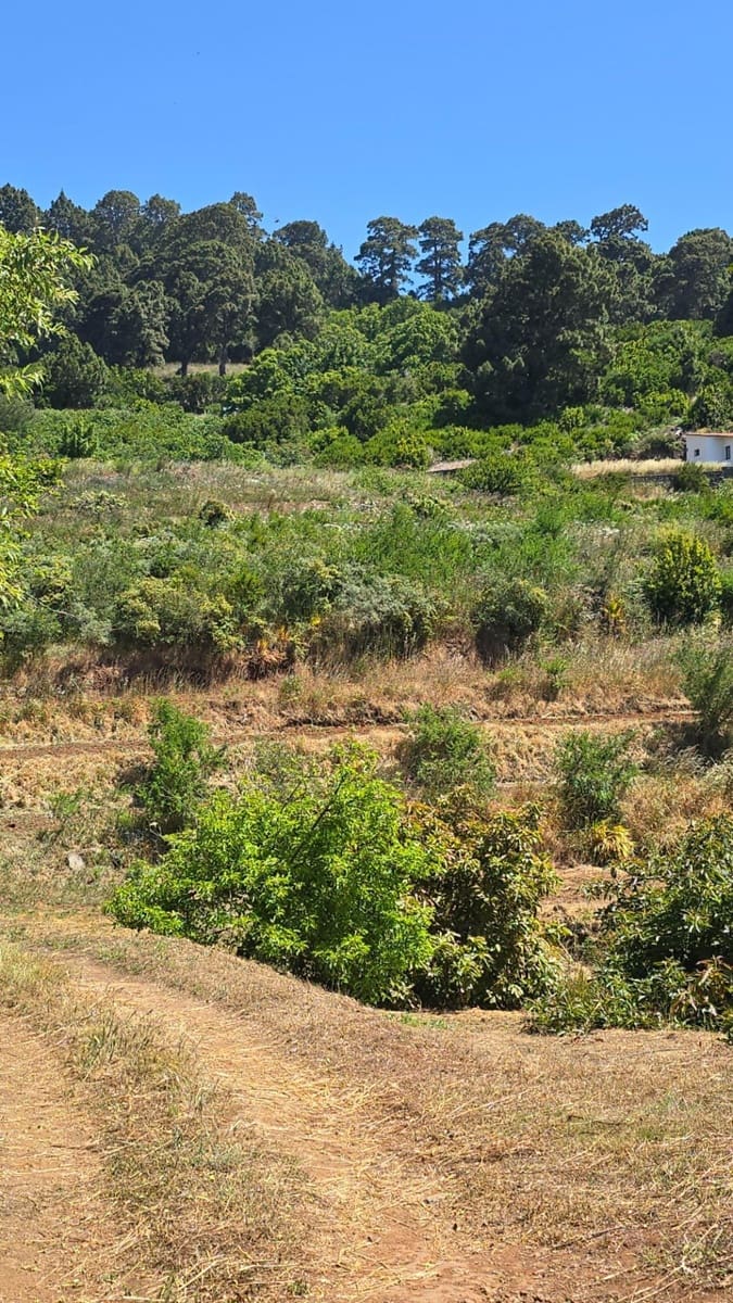 Terreno Non Edificato in vendita in Garafia - 145.000 € (Rif: 10148892)