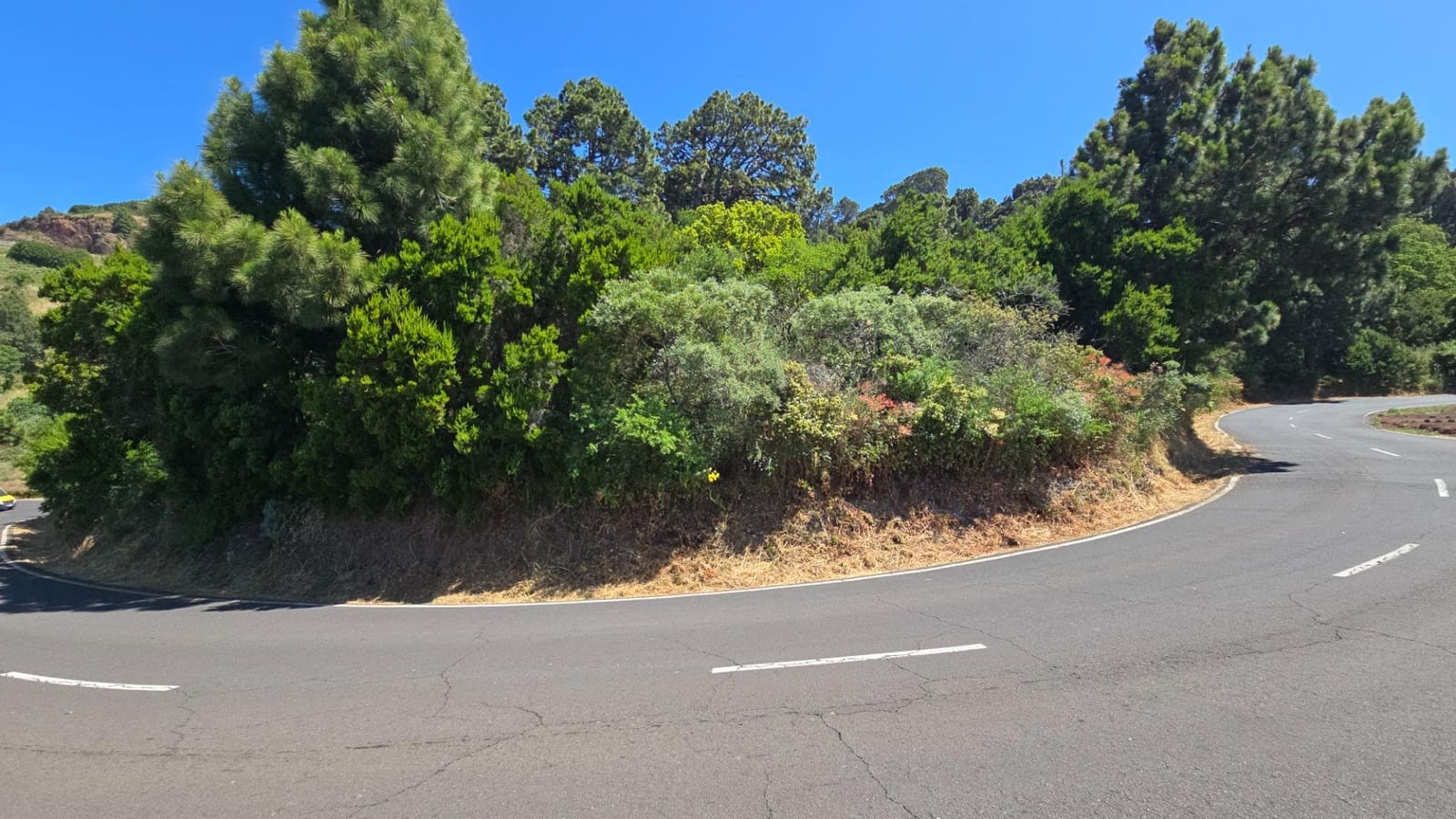 Terreno Non Edificato in vendita in Garafia - 145.000 € (Rif: 10148892)