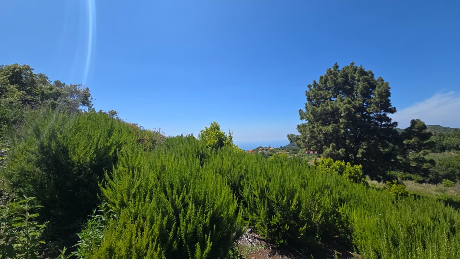 Terreno Non Edificato in vendita in Garafia - 145.000 € (Rif: 10148892)