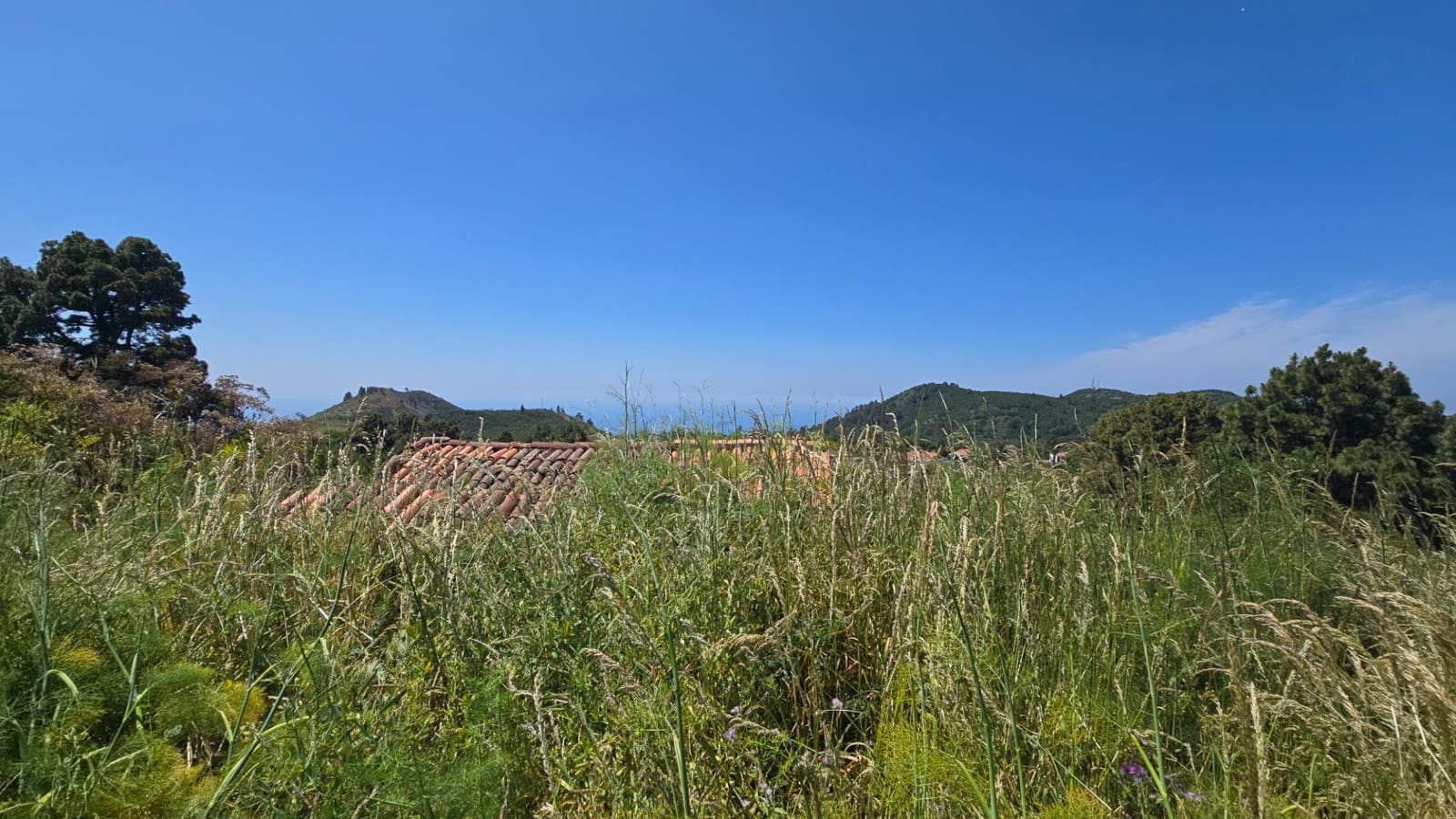 Terreno Non Edificato in vendita in Garafia - 145.000 € (Rif: 10148892)