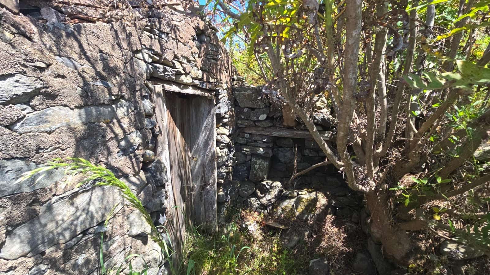 Terreno Non Edificato in vendita in Garafia - 145.000 € (Rif: 10148892)