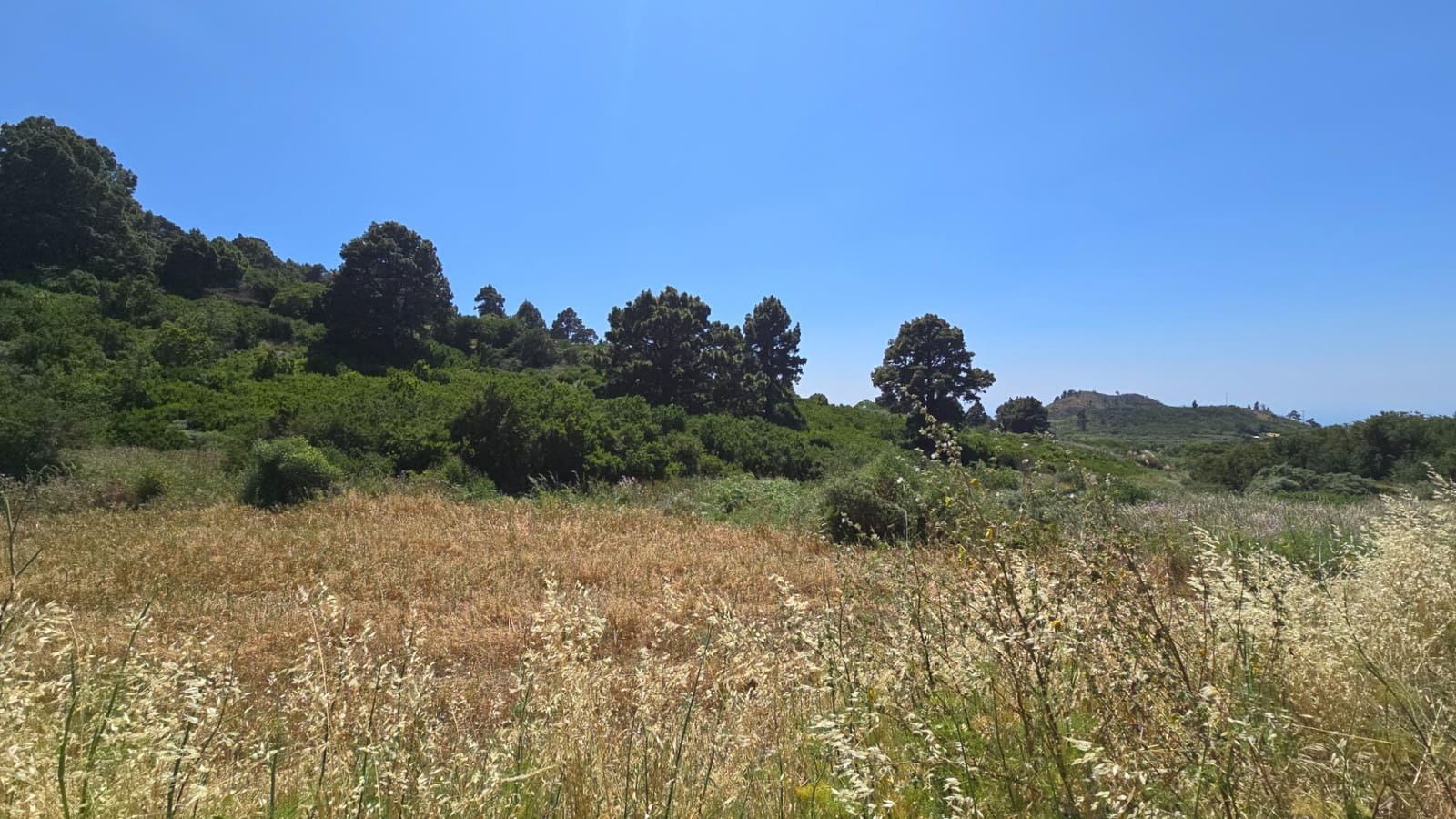 Terreno Non Edificato in vendita in Garafia - 145.000 € (Rif: 10148892)