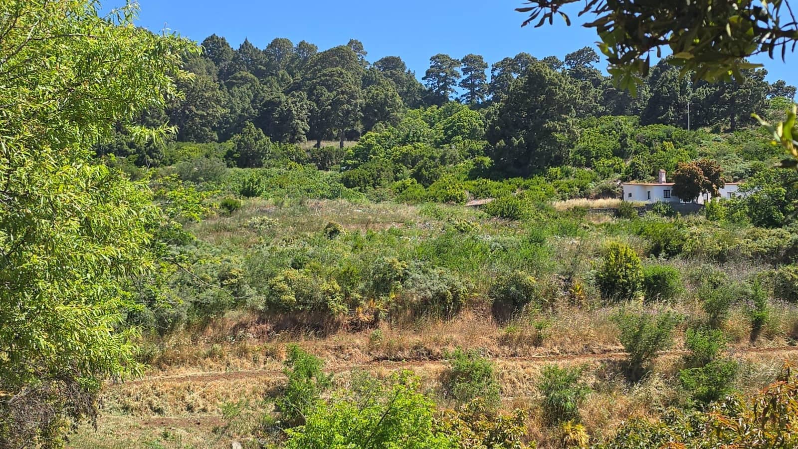 Terreno Non Edificato in vendita in Garafia - 145.000 € (Rif: 10148892)