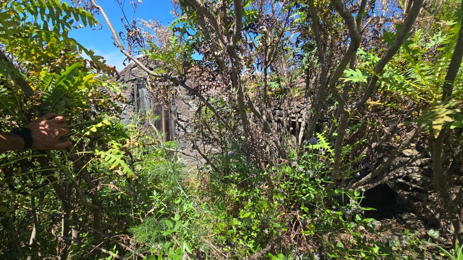 Terreno Non Edificato in vendita in Garafia - 145.000 € (Rif: 10148892)