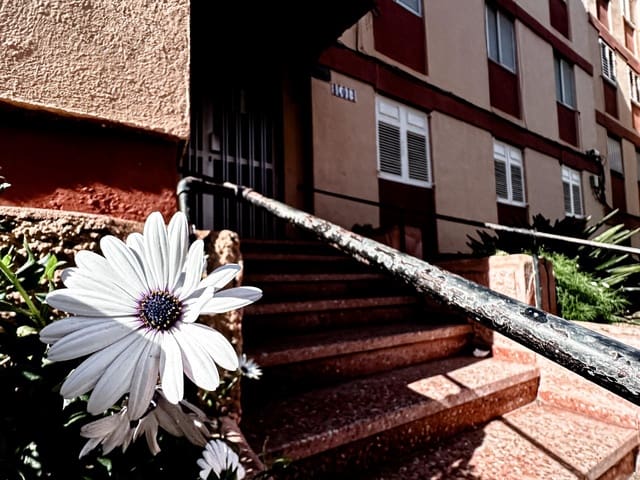 4 soveværelse Lejlighed til salg i San Cristóbal de La Laguna - € 154.000 (Ref: 9571299)