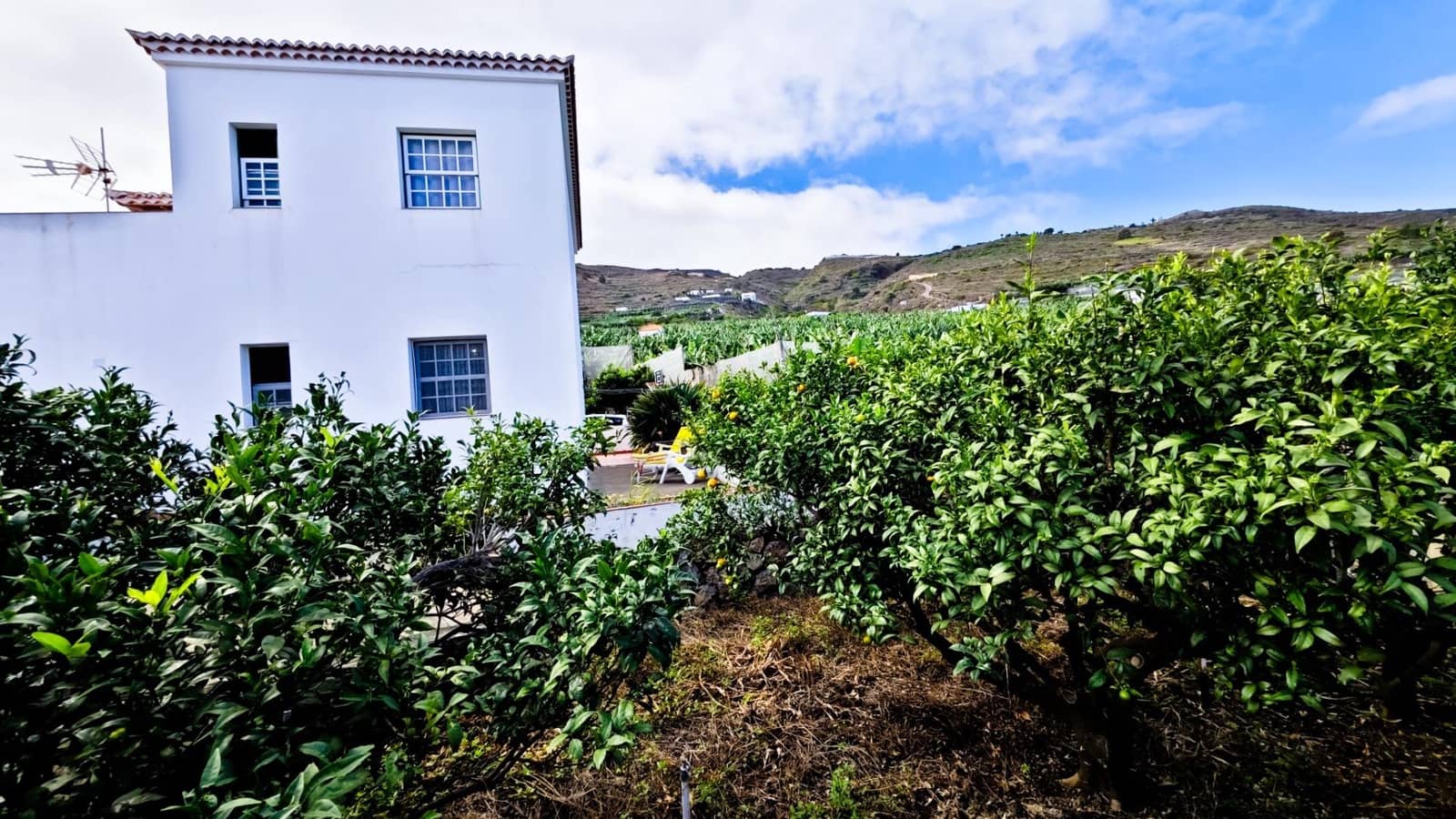 2 bedroom Apartment for rent in Barlovento with garage - € 750 (Ref: 9625798)