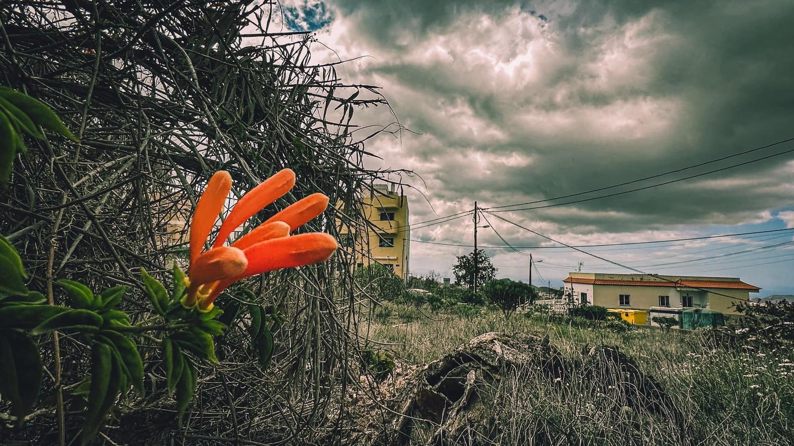 Building Plot for sale in Valle de San Lorenzo - € 99,000 (Ref: 9865283)
