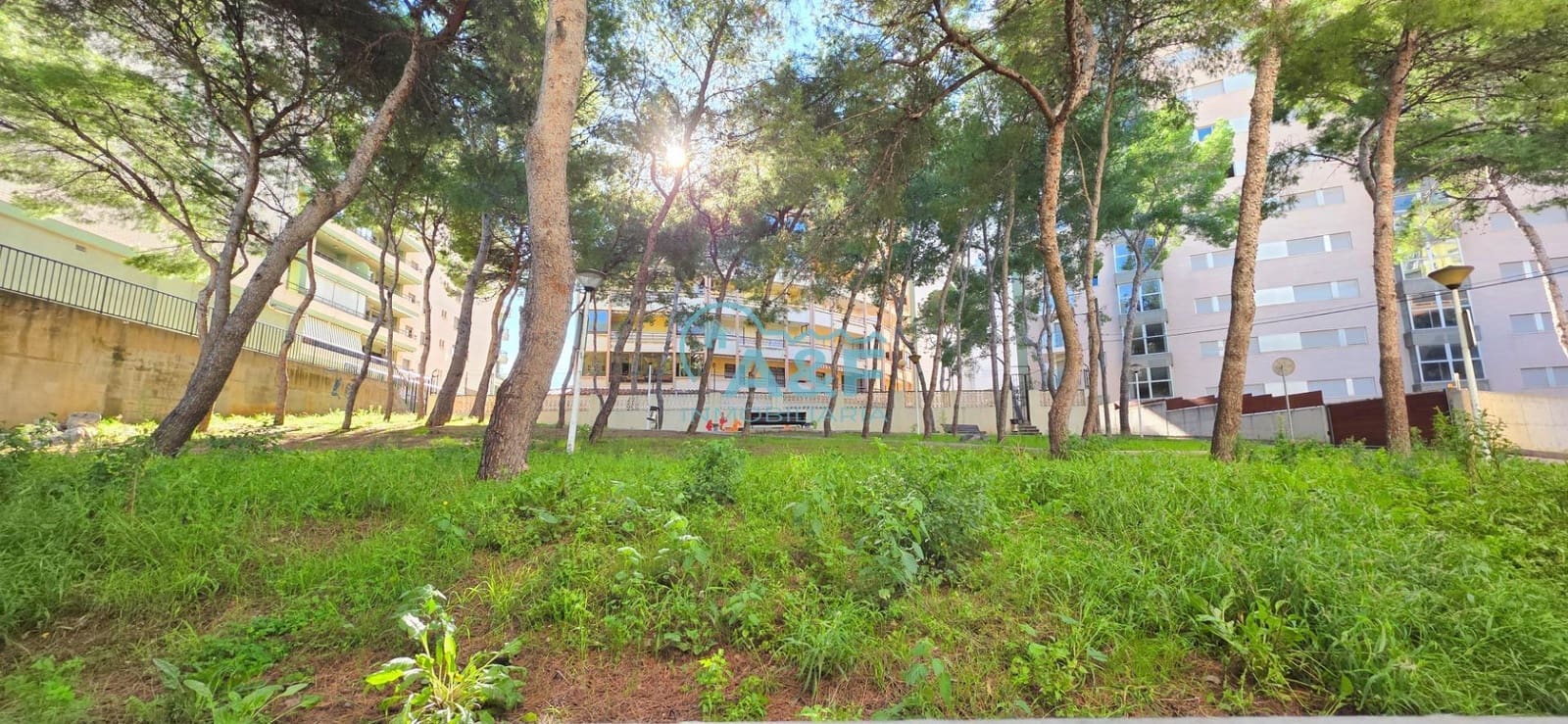 2 bedroom Apartment for rent in Oropesa  with garage - € 750 (Ref: 9388148)