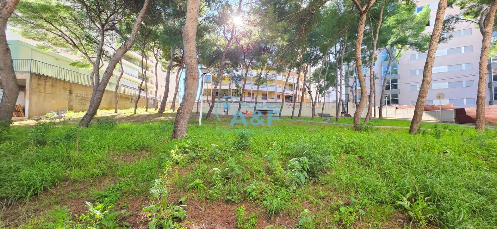 2 bedroom Apartment for rent in Oropesa  with garage - € 750 (Ref: 9388148)