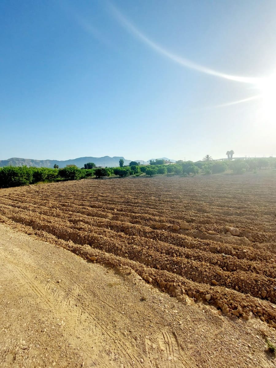 5 sypialnia Finka/Dom wiejski na sprzedaż w Los Desamparados - 115 000 € (Ref: 9558751)