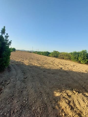 5 sypialnia Finka/Dom wiejski na sprzedaż w Los Desamparados, Orihuela - 115 000 € (Ref: 9558751)