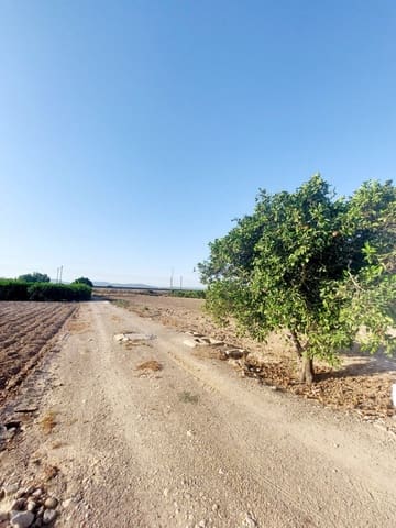 5 sypialnia Finka/Dom wiejski na sprzedaż w Los Desamparados, Orihuela - 115 000 € (Ref: 9558751)