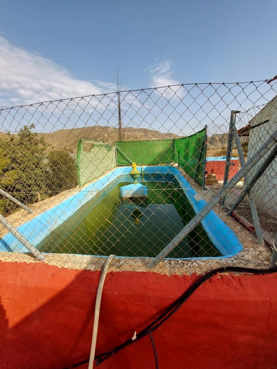 3 soveværelse Finca/Landehus til salg i Abaran - € 149.500 (Ref: 9558755)