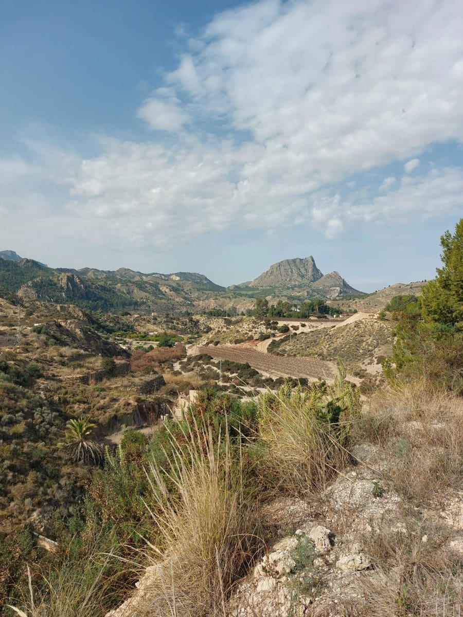 3 soveværelse Finca/Landehus til salg i Abaran - € 149.500 (Ref: 9558755)