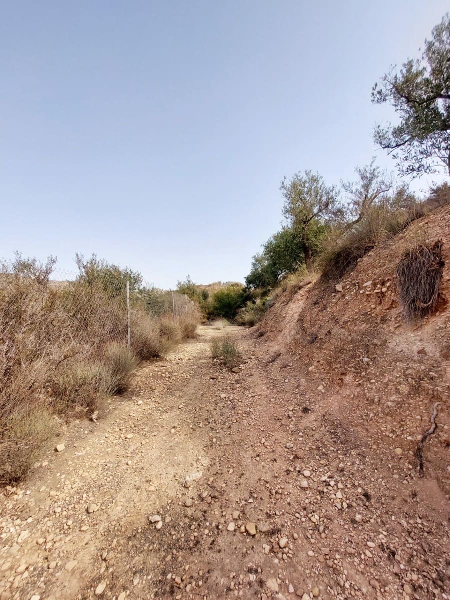 3 soveværelse Finca/Landehus til salg i Abaran - € 149.500 (Ref: 9558755)