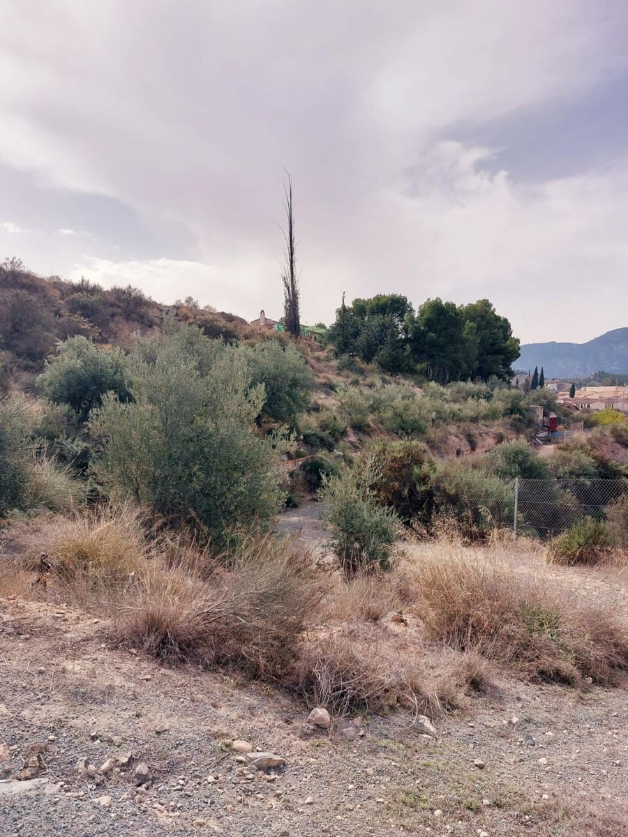 3 soveværelse Finca/Landehus til salg i Abaran - € 149.500 (Ref: 9558755)