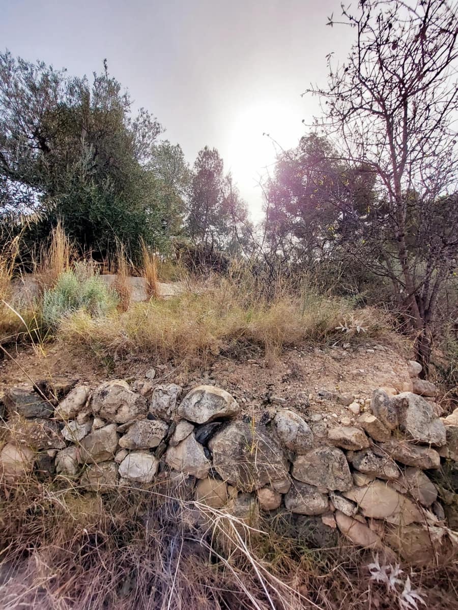 3 soveværelse Finca/Landehus til salg i Abaran - € 149.500 (Ref: 9558755)