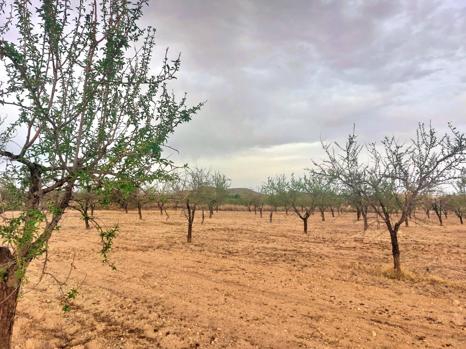 2 soveværelse Finca/Landehus til salg i Alhama de Murcia - € 78.000 (Ref: 9558758)