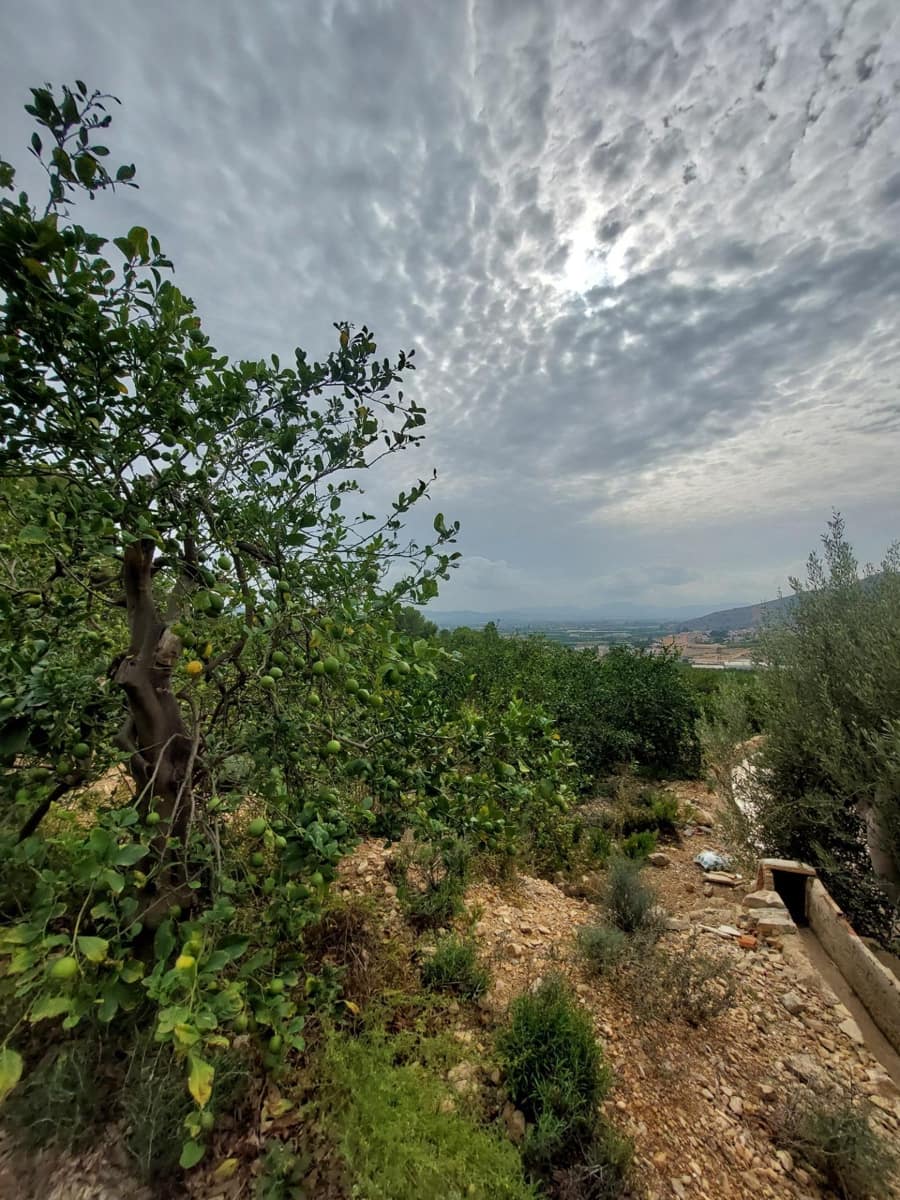 Finca/Casa Rural de 3 habitaciones en Raiguero de Bonanza en venta con piscina - 220.000 € (Ref: 9558761)