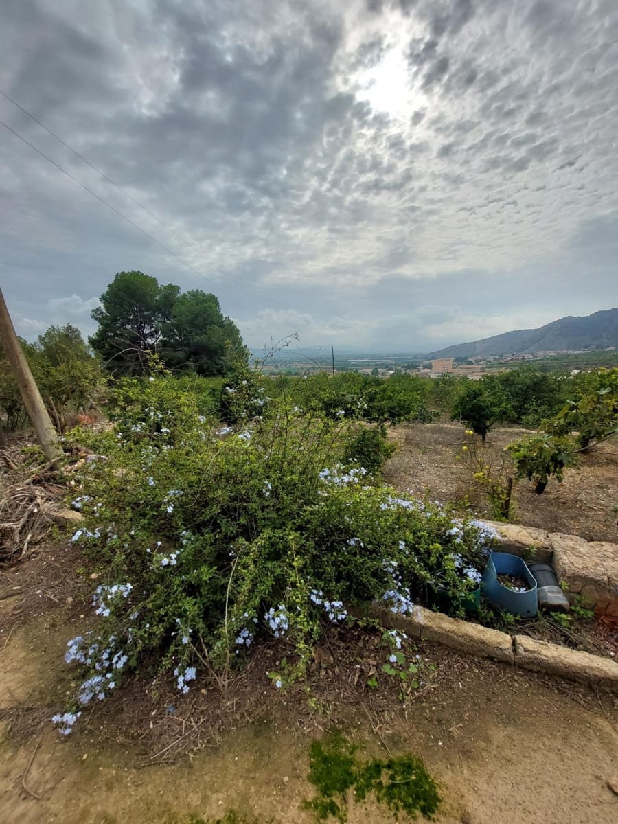 Finca/Casa Rural de 3 habitaciones en Raiguero de Bonanza en venta con piscina - 220.000 € (Ref: 9558761)