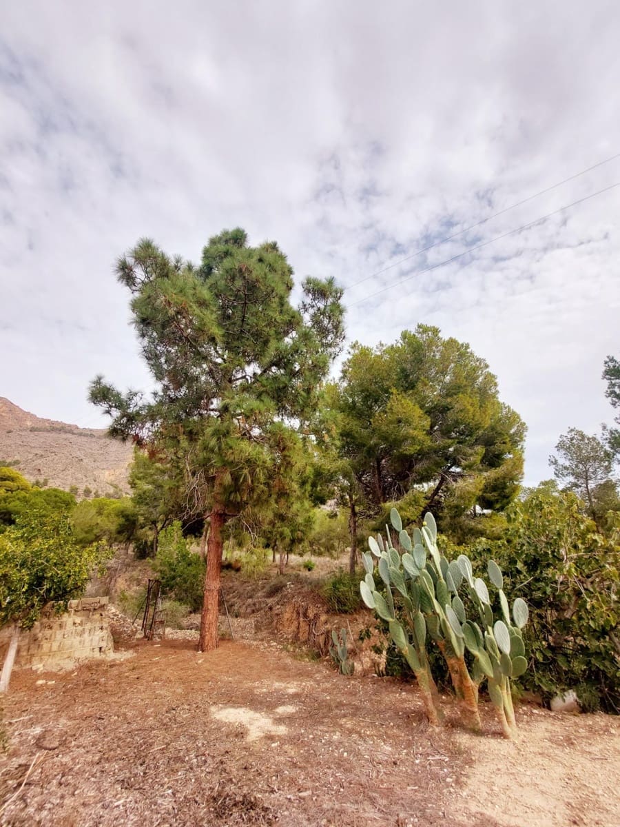 Finca/Casa Rural de 3 habitaciones en Raiguero de Bonanza en venta con piscina - 220.000 € (Ref: 9558761)