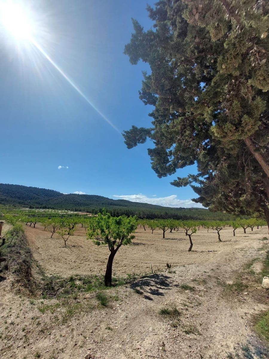 3 soveværelse Finca/Landehus til salg i Mula - € 75.000 (Ref: 9558765)