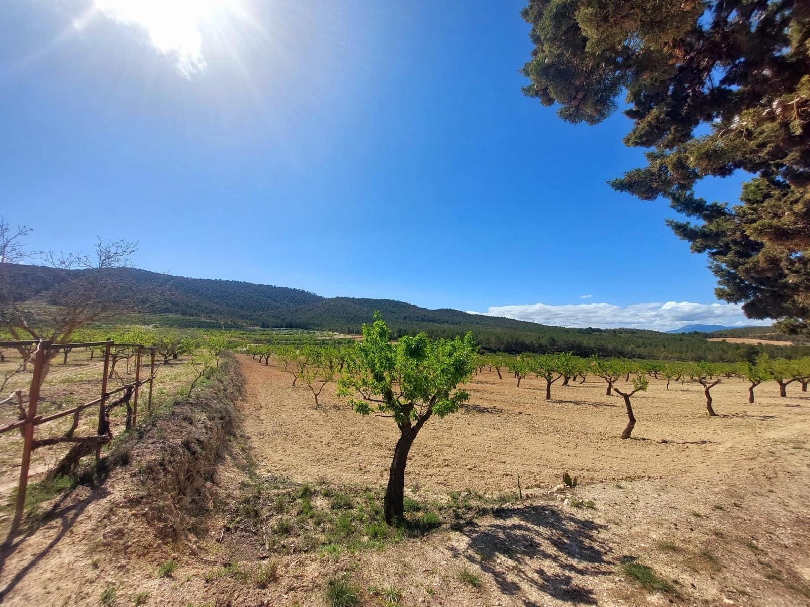 3 soveværelse Finca/Landehus til salg i Mula - € 75.000 (Ref: 9558765)