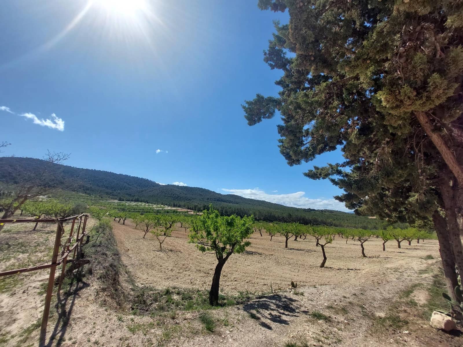 3 soveværelse Finca/Landehus til salg i Mula - € 75.000 (Ref: 9558765)