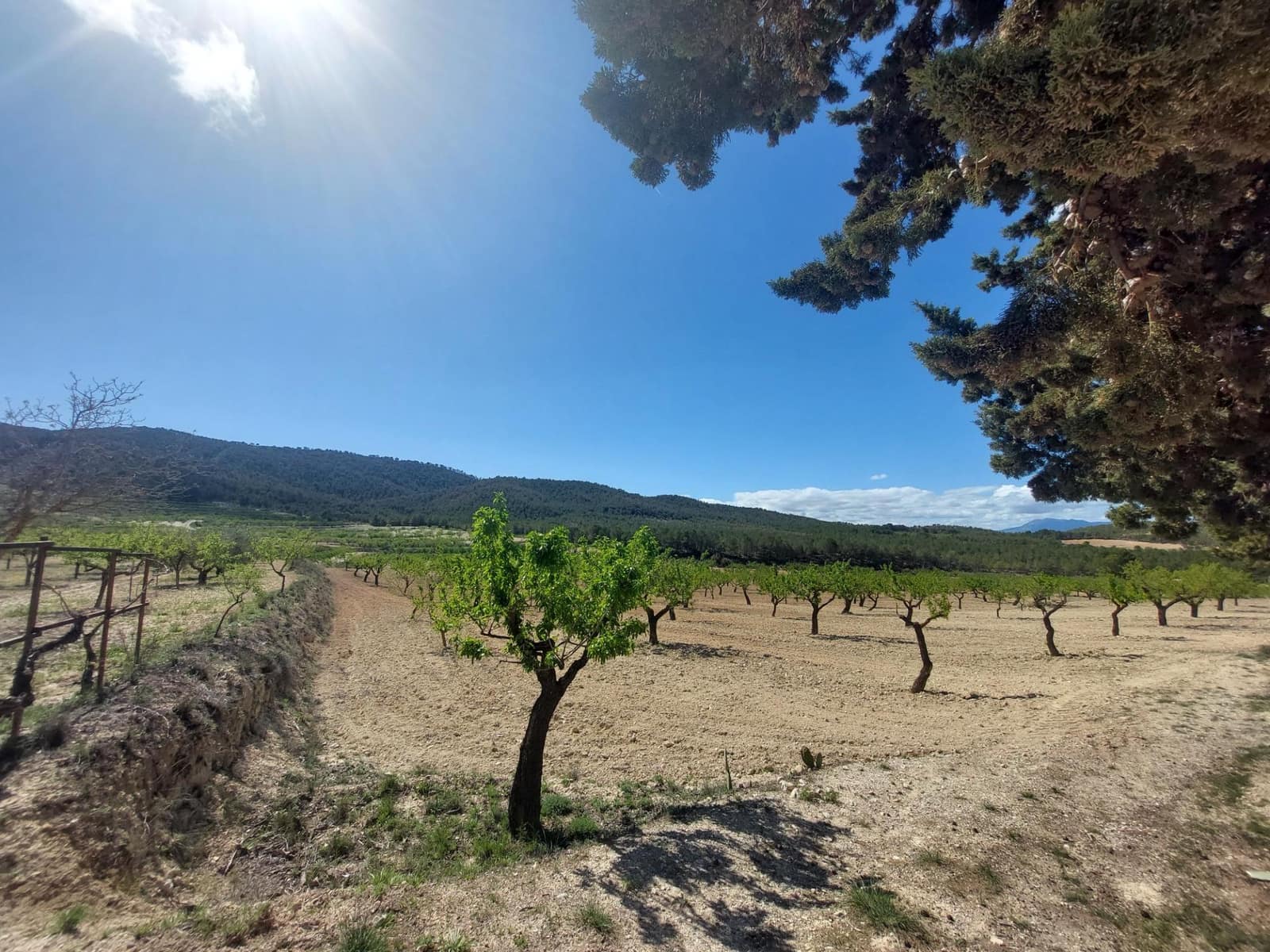 3 soveværelse Finca/Landehus til salg i Mula - € 75.000 (Ref: 9558765)