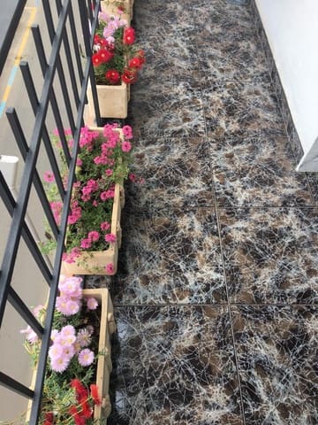 Appartement de 3 chambres à louer à Barrio Alto - San Félix - Oliveros - Altamira, Almería ville - 825 € (Ref: 9143367)