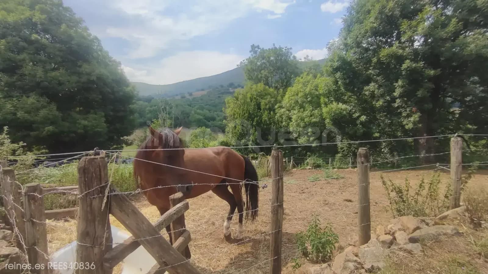 3 Zimmer Finca/Landgut zu verkaufen in Grado - 98.000 € (Ref: 10012622)
