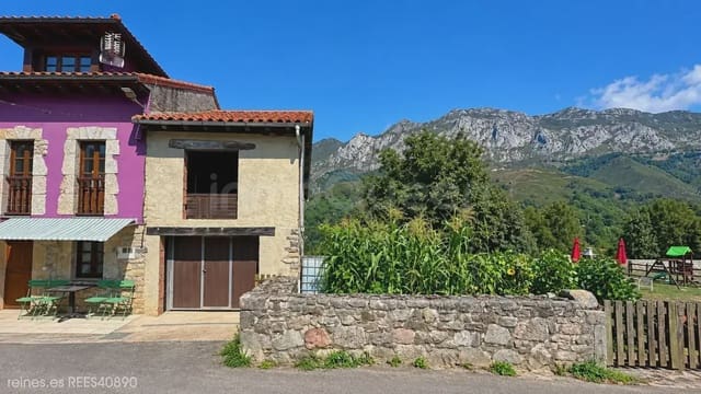 2 bedroom Finca/Country House for sale in Alles, Peñamellera Alta - € 138,000 (Ref: 10029618)
