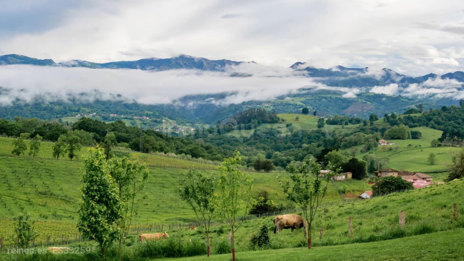 3 soverom Villa til salgs i Parres med svømmebasseng - € 798 000 (Ref: 9148535)