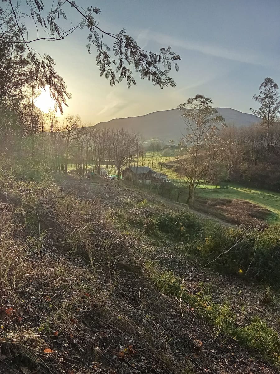 3 soveværelse Byhus til salg i Mazcuerras med garage - € 380.000 (Ref: 9268928)