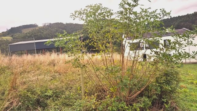 Byggetomt til salgs i Vegadeo - € 80 000 (Ref: 9634822)