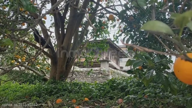 Finca/Landhuis te koop in Coaña met garage - € 40.000 (Ref: 9715282)