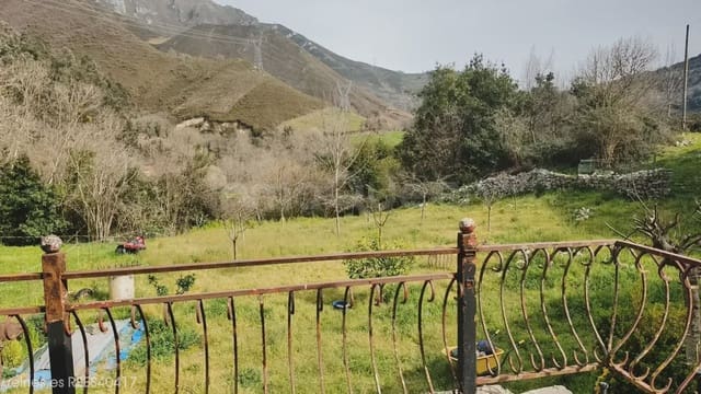 Finca/Casa Rural de 2 habitaciones en Peñamellera Alta en venta - 119.000 € (Ref: 9715299)